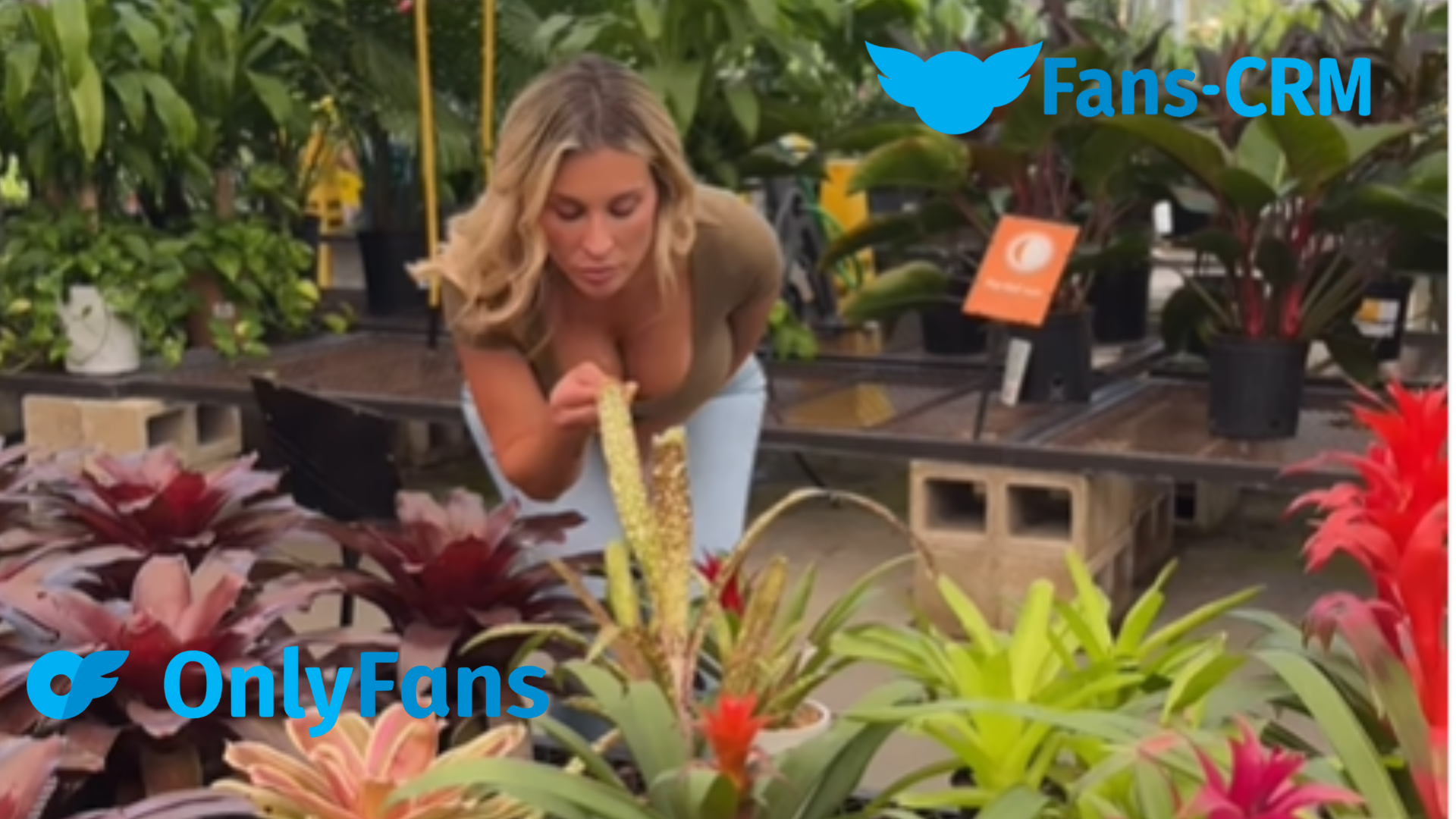 theallierae onlyfans leak